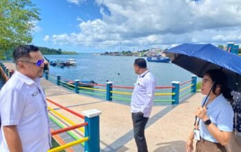 40 Titik Jalan Titian Fidabot Segera Terang Benderang! Renur: Ini Bukan Anggaran Daerah, Tapi CSR PLN Tual