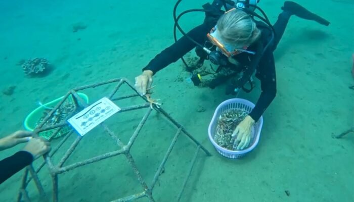 Pertamina Patra Niaga Dorong Restorasi Terumbu Karang Lewat Harmoni Laut Ambon