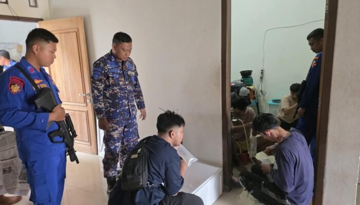 Polri Gagalkan Penyelundupan 47 Ribu Benih Lobster di Serang, 5 Tersangka Diamankan