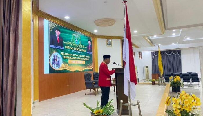 Jelang Idul Adha, Pemkot Tual Gelar Pelatihan Juru Sembelih Hewan