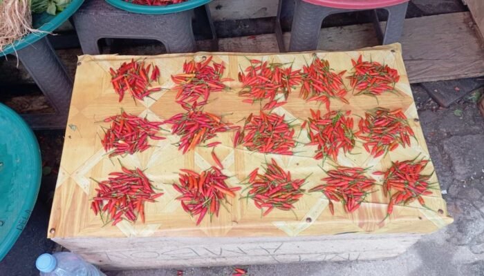 Harga Cabai di Maluku Tenggara Mulai Turun Capai 150 Per Kilo, Sejumlah Komoditas Ikut Melandai