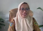 Siaga El Nino 2026, Dinas Ketapang Tual Siapkan Sejumlah Mitigasi