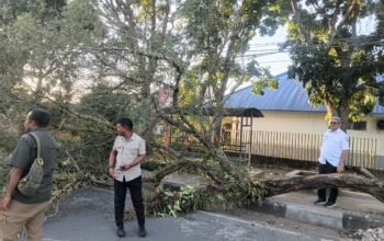 18/6/2026 - Thaher Hanubun