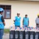 Percepat Transisi Energi Hijau, PLN Siapkan Pembangunan PLTS 600 kWp di Pulau Morotai