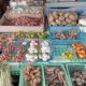 Dampak Musim Kemarau, Harga Bumbu Dapur di Pasar Langgur Maluku Melonjak Naik