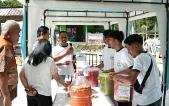 26/7/2026 - PLN