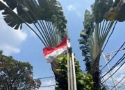 Sambut HUT ke-81 RI, Pemkot Ambon Terbitkan Edaran Pengibaran Merah Putih selama Agustus