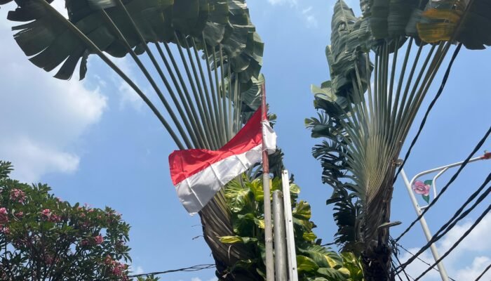 Sambut HUT ke-81 RI, Pemkot Ambon Terbitkan Edaran Pengibaran Merah Putih selama Agustus