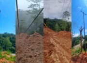 PLN Respons Cepat Gangguan Jaringan di Halmahera Selatan dan Pastikan Transparansi Layanan Tambah Daya melalui PLN Mobile