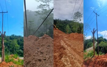 PLN Respons Cepat Gangguan Jaringan di Halmahera Selatan dan Pastikan Transparansi Layanan Tambah Daya melalui PLN Mobile