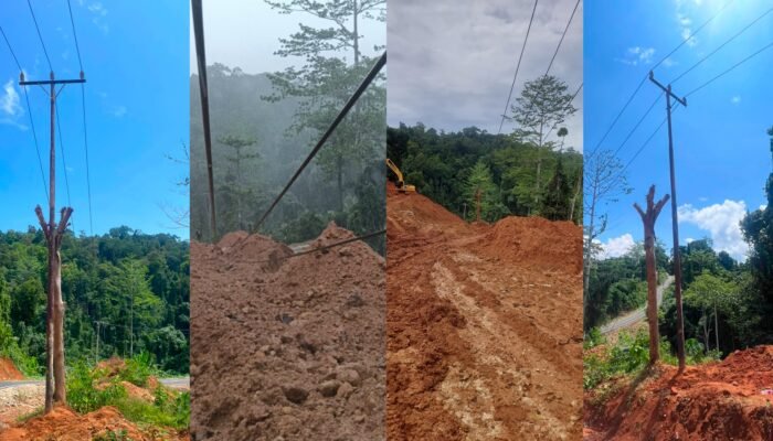 PLN Respons Cepat Gangguan Jaringan di Halmahera Selatan dan Pastikan Transparansi Layanan Tambah Daya melalui PLN Mobile
