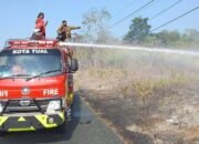 Dalam 3 Bulan, Damkar Tual Padamkan 110 Kebakaran Lahan