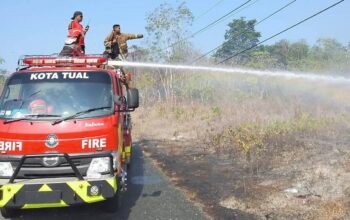 Dalam 3 Bulan, Damkar Tual Padamkan 110 Kebakaran Lahan