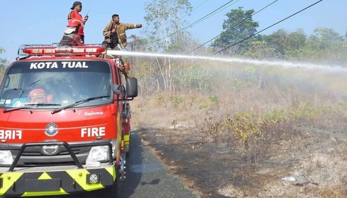Dalam 3 Bulan, Damkar Tual Padamkan 110 Kebakaran Lahan