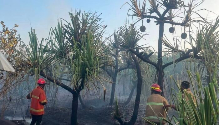 DPRD Maluku Tenggara Desak Penegakan Hukum Pelaku Pembakaran Hutan