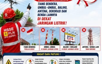 11/8/2026 - PLN