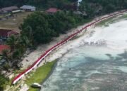 Merah Putih Membentang 500 Meter, Aboru Torehkan Momen Bersejarah di HUT ke-81 RI