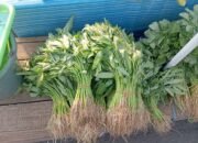 Duh! Imbas Kemarau Panjang Sayur di Pasar Langgur Makin Mahal