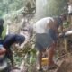 Pipa Rusak Tertimpa Pohon, Distribusi Air Bersih di Galala Ambon Kembali Normal