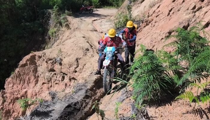 HLN ke-81: PLN Perkuat Peran Listrik sebagai Penggerak Kehidupan dan Kemandirian Bangsa