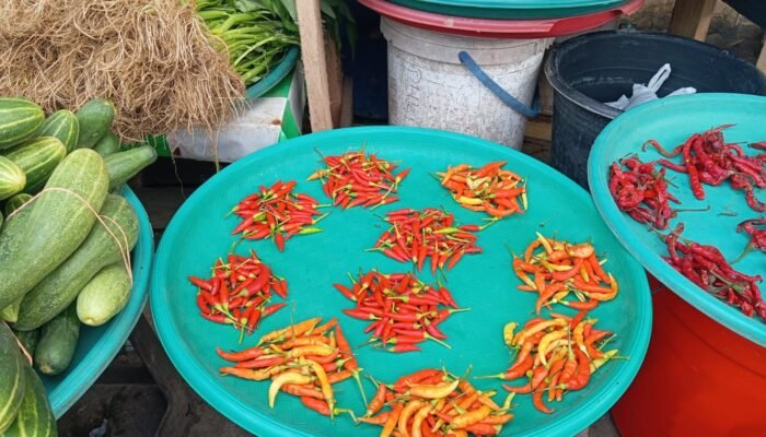 Duh! Harga Cabai di Pasar Langgur Malra Makin Pedas, Capai Rp 250 Per Kilo