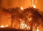 Karhutla Membara di Saleman Maluku; Dua Bulan Warga Berjuang Masih Belum Padam