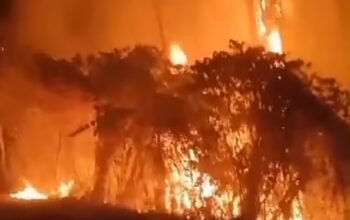 Karhutla Membara di Saleman Maluku; Dua Bulan Warga Berjuang Masih Belum Padam