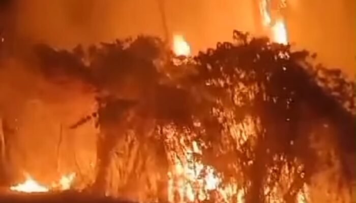 Karhutla Membara di Saleman Maluku; Dua Bulan Warga Berjuang Masih Belum Padam