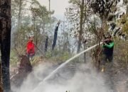 Maluku Perkuat Pencegahan Karhutla, Hotspot Tertinggi di Buru dan SBT