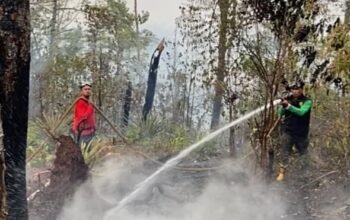 Maluku Perkuat Pencegahan Karhutla, Hotspot Tertinggi di Buru dan SBT