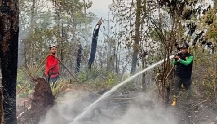 Maluku Perkuat Pencegahan Karhutla, Hotspot Tertinggi di Buru dan SBT