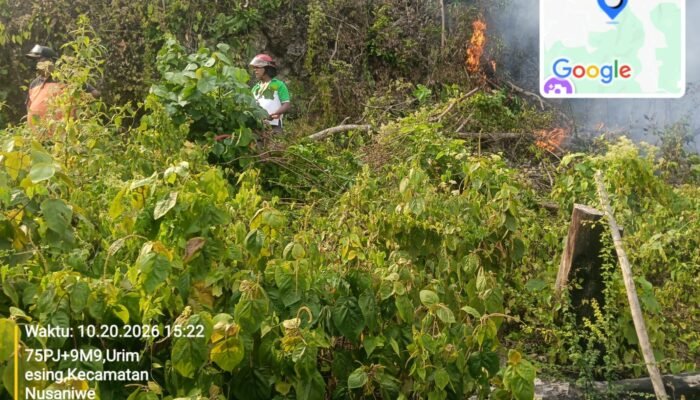 Karhutla di Siwang Ambon Capai 6 Hektare, Kehutanan Maluku Pantau 369 Titik Panas