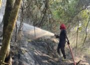 Kebakaran Lahan di Gunung Siwang Berhasil Dipadamkan Damkar Ambon