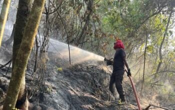 Kebakaran Lahan di Gunung Siwang Berhasil Dipadamkan Damkar Ambon