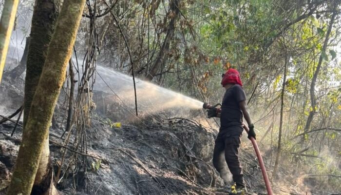 Kebakaran Lahan di Gunung Siwang Berhasil Dipadamkan Damkar Ambon