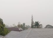 Pemkot Tual Sediakan Rp. 3 Juta bagi Pelapor Pelaku Kebakaran Hutan dan Lahan