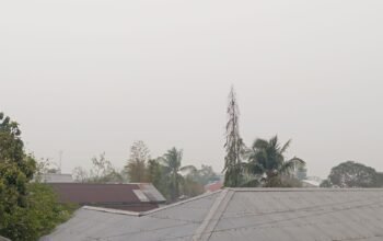 Pemkot Tual Sediakan Rp. 3 Juta bagi Pelapor Pelaku Kebakaran Hutan dan Lahan