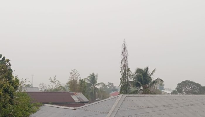 Pemkot Tual Sediakan Rp. 3 Juta bagi Pelapor Pelaku Kebakaran Hutan dan Lahan