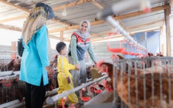 Pertamina Patra Niaga AFT Babullah Bersama TK Khalifah Ajak Siswa Belajar di Agrowisata Tubo, Kenalkan Pertanian Sejak Dini